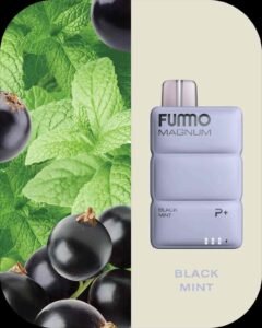FUMMO Magnum 8000 Puffs 20MG Disposable Vape in Dubai BLACK MINT