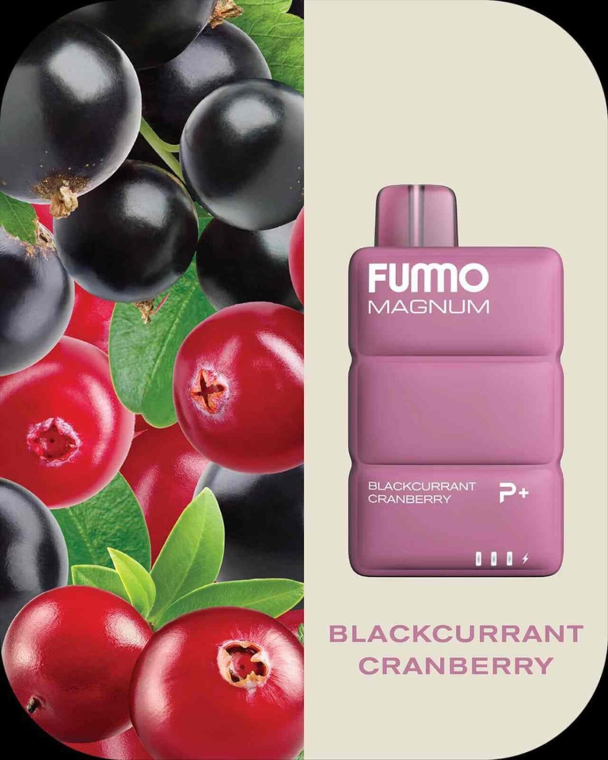 FUMMO Magnum 8000 Puffs 20MG Disposable Vape in Dubai BLACKCURRANT CRANBERRY