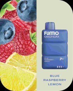 FUMMO Magnum 8000 Puffs 20MG Disposable Vape in Dubai BLUE RASPBERRY LEMON