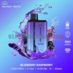HAYATI Pro Ultra 15000 Puffs 2% Super Nicotine Disposable Vape in Dubai Blueberry Raspberry
