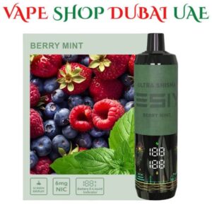 TESIYI ULTRA SHISHA 6MG NICOTINE 35000 PUFFS Price In Dubai Berry Mint