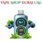 Best WAKA PA25000 Puffs 50MG Disposable Vape in Dubai Blue Razz Mint