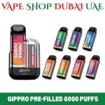 Gippro Pre-Filled 6000 Puffs Disposable Vape in Dubai