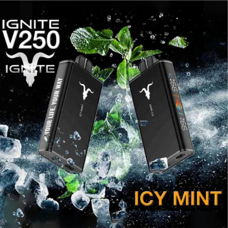 IGNITE V250 25000 Puffs Disposable Vape 50MG – Buy Now in Dubai ICY MINT