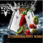 IGNITE V250 25000 Puffs Disposable Vape 50MG – Buy Now in Dubai - Image 6