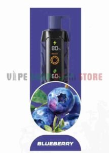 NERD-CLOUD-20000-Puffs-Price-in-Dubai-BLUEBERRY