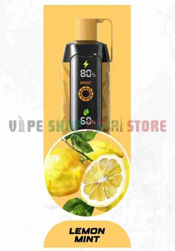 NERD-CLOUD-20000-Puffs-Price-in-Dubai-LEMON-MINT