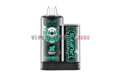 REJOY-Shisha-14000-Puffs-Salt-Nicotine-20mg-Disposable-Vape-in-Dubai-SIMPLY-MINT