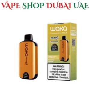 WAKA SoPro DM8000i 50MG Disposable Vape Vape in Dubai Banana Melon