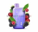 Elfbar-Raya-D1-Blackberry-Cranberry