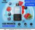 Geek-Bar-Ice-Prince-50000-Puffs-Disposable-Vape-bluberry-raspberry-ice