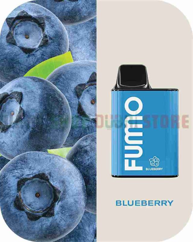 FUMMO KING 6000 PUFFS Price in Dubai BLUEBERRY_6_11zon