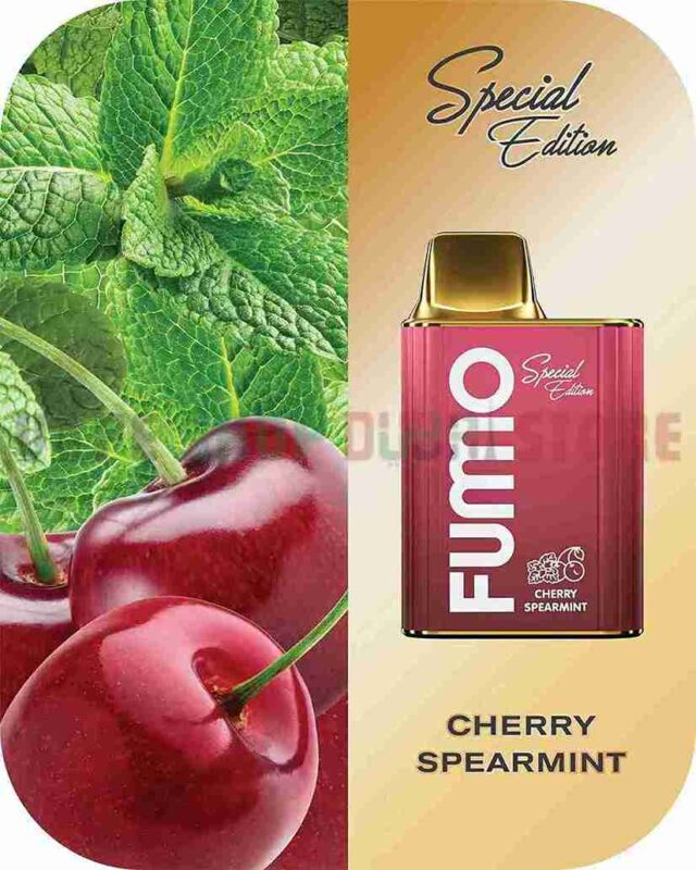 FUMMO KING 6000 PUFFS Price in Dubai CHERRY SPEARMINT_8_11zon