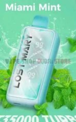 Lost-Mary-MT-35000-Puff-Turbo-Disposable-Vape-in-Dubai-Miami_Mint