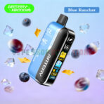 Artery-Ferocious-CL6-50000-Puffs-NIC-ICE-Edition-in-the-UAE-BLUE-RANCHER