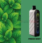 Fummo-Nova-Alpha-Power-50000-Puffs-20MG-nicotine-FRESH-MINT