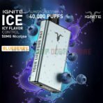 Ignite-Ice-40000-Puffs-Disposable-Vape-Icy-Flavor-Control-In-The-UAE-BLUEBERRY