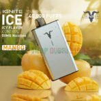 Ignite-Ice-40000-Puffs-Disposable-Vape-Icy-Flavor-Control-In-The-UAE-MANGO