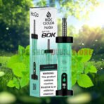 HoQa 80k puffs 5 nicotine Disposable Vape in Dubai miami mint